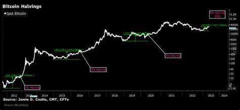 New Year, new rally: Why bitcoin is up 28% this month after a tumultuous 2022 - CNBC