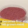Texas banned lab-grown meat. What's next for the industry?