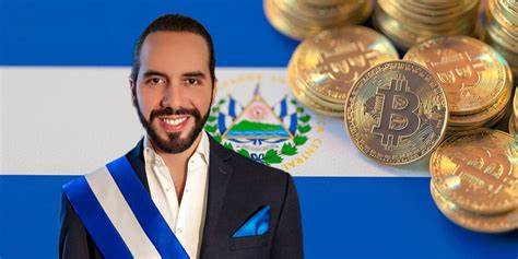 Argentine VP Discusses Bitcoin With El Salvador's Bukele - Bitcoinist