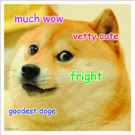 RIP, Kabosu – Shiba Inu Who Inspired the Dogecoin (DOGE) Memecoin Movement Passes Away at 18 - The Daily Hodl