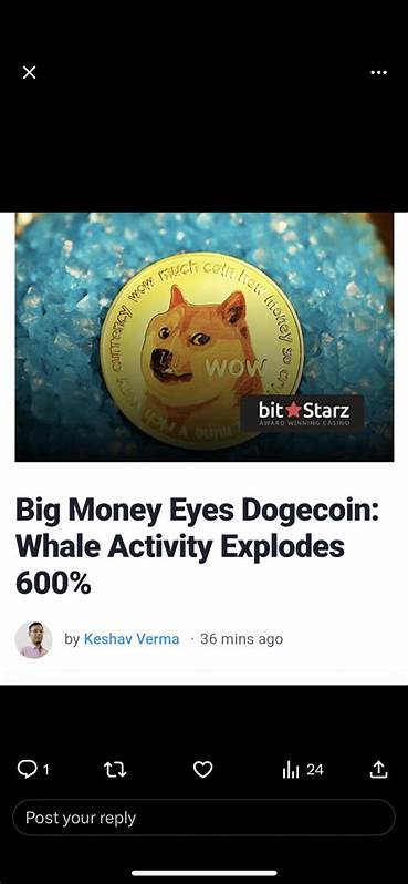 Big Money Eyes Dogecoin: Whale Activity Explodes 600% - Bitcoinist