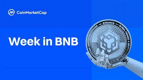 BNB Chain News: Sector Stalls as Altcoin Euphoria Fades