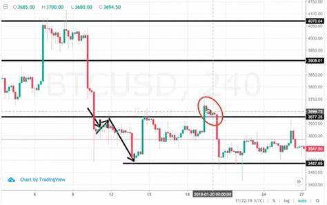 What Is Support and Resistance & How to Crypto Trade With It - Bybit Learn