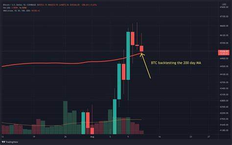 Bitcoin Short Term Investors Now Hold Over 4M $BTC. Can BTC Bull 100x? - TradingView
