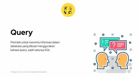 QUERY | English meaning - Cambridge Dictionary